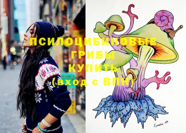 таблы Лиски